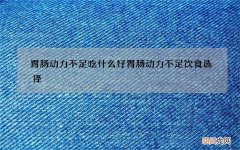 胃肠动力不足吃什么好 胃肠动力不足饮食选择