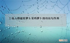 三高人群能吃萝卜菜吗 萝卜的功效与作用