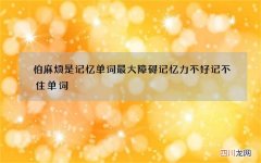 怕麻烦是记忆单词最大障碍 记忆力不好记不住单词