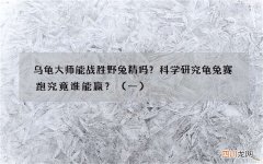 一 乌龟大师能战胜野兔精吗？科学研究龟兔赛跑究竟谁能赢？
