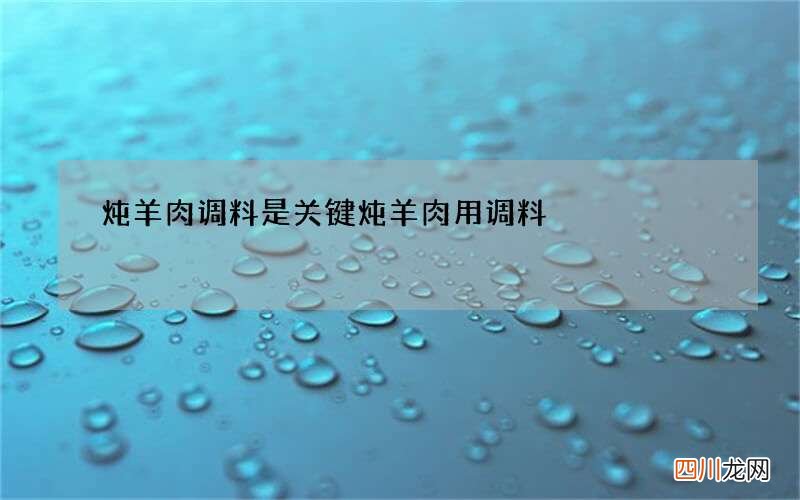 炖羊肉调料是关键 炖羊肉用调料