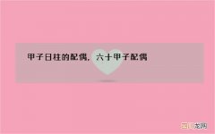 甲子日柱的配偶，六十甲子配偶
