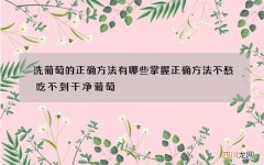 洗葡萄的正确方法有哪些 掌握正确方法不愁吃不到干净葡萄
