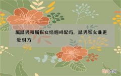 属鼠男和属猴女婚姻相配吗，鼠男猴女谁更爱对方