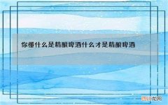 你懂什么是精酿啤酒 什么才是精酿啤酒