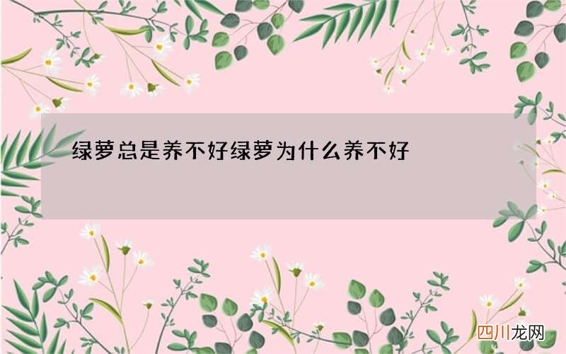 绿萝总是养不好 绿萝为什么养不好