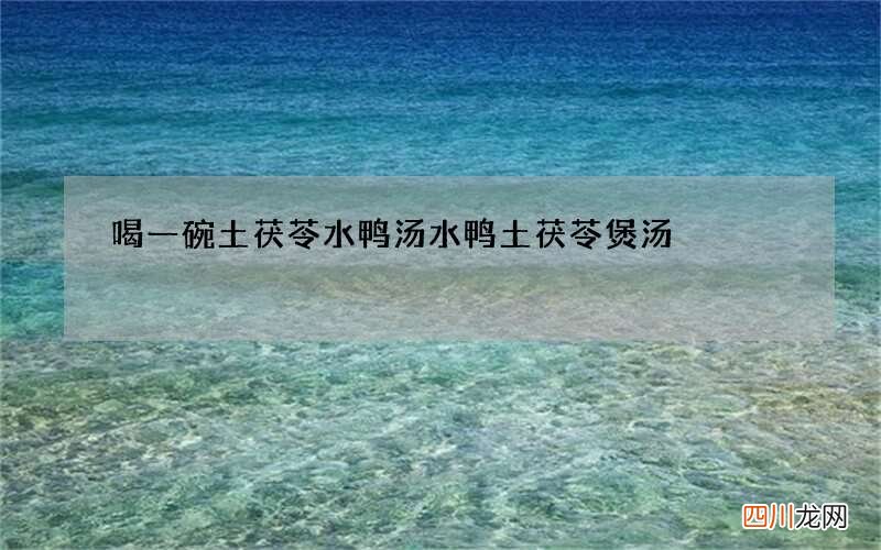 喝一碗土茯苓水鸭汤 水鸭土茯苓煲汤