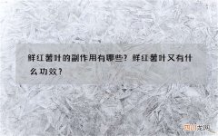 鲜红薯叶的副作用有哪些？鲜红薯叶又有什么功效？