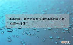 小米白萝卜粥的功效与作用 吃小米白萝卜粥有哪些好处
