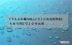 1954年属马的人2020年运势男命 54年马男2020年运程