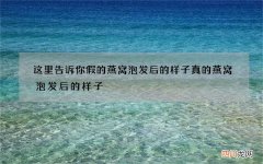 这里告诉你假的燕窝泡发后的样子 真的燕窝泡发后的样子