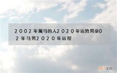 2002年属马的人2020年运势男命 02年马男2020年运程