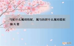马配什么属相婚配，属马的跟什么属相最配做夫妻