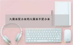 大黄米是小米吗 大黄米不是小米