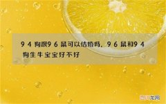 94狗跟96鼠可以结婚吗，96鼠和94狗生牛宝宝好不好