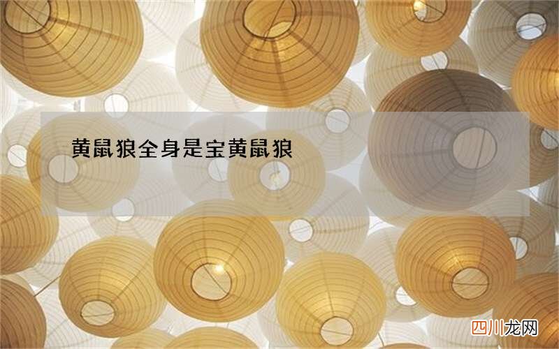 黄鼠狼全身是宝 黄鼠狼
