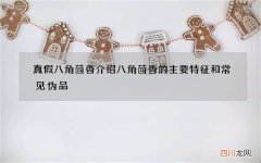 真假八角茴香 介绍八角茴香的主要特征和常见伪品