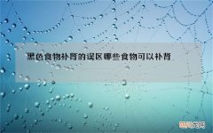 黑色食物补肾的误区 哪些食物可以补肾