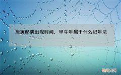 庚寅配偶出现时间，甲午年属于什么纪年法