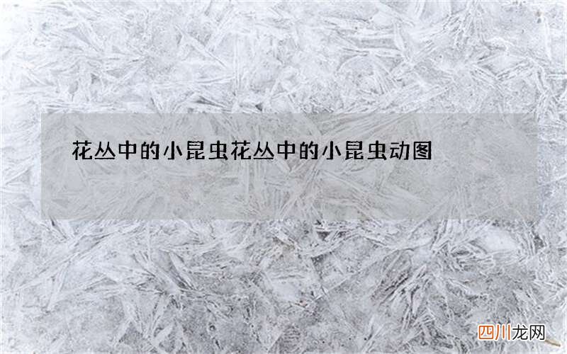花丛中的小昆虫 花丛中的小昆虫动图