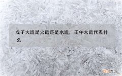 戊子大运是火运还是水运，壬午大运代表什么