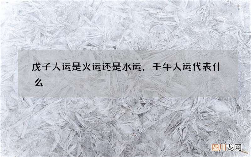 戊子大运是火运还是水运，壬午大运代表什么