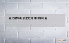 就是螺蛳粉那里吧 螺蛳粉哪儿的