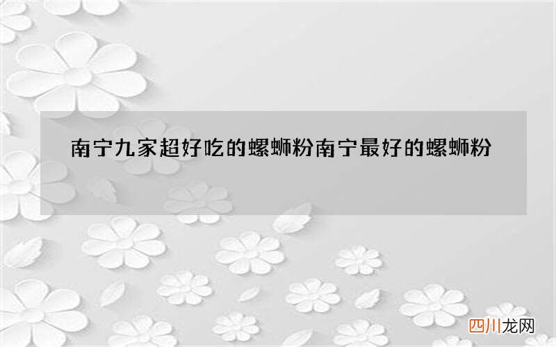 南宁九家超好吃的螺蛳粉 南宁最好的螺蛳粉