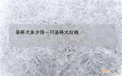 茶杯犬多少钱一只 茶杯犬价格
