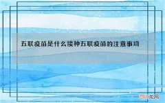 五联疫苗是什么 接种五联疫苗的注意事项