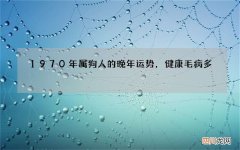 1970年属狗人的晚年运势，健康毛病多