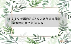 1970年属狗的人2020年运势男命 70年狗男2020年运程