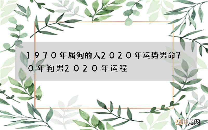 1970年属狗的人2020年运势男命 70年狗男2020年运程