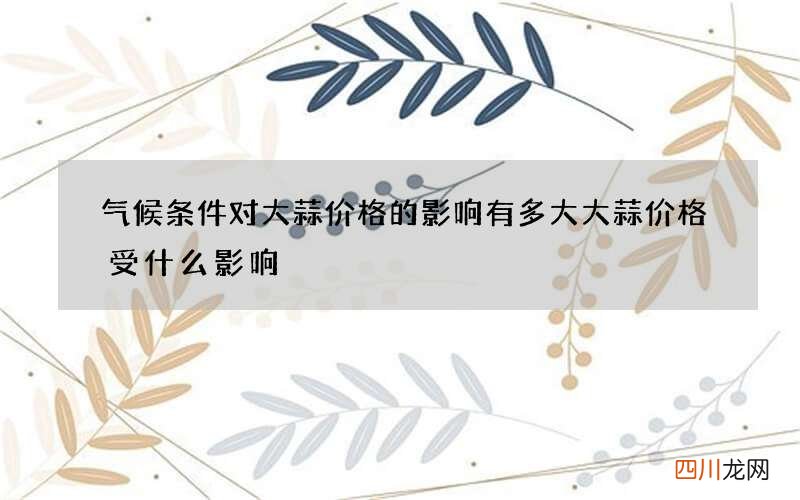 气候条件对大蒜价格的影响有多大 大蒜价格受什么影响