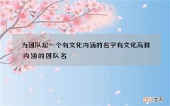 为团队起一个有文化内涵的名字 有文化高雅内涵的团队名