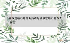 输尿管结石吃什么药 引起输尿管结石的五大原因
