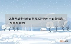 乙肝两对半有什么危害 乙肝两对半的指标意义是怎样的