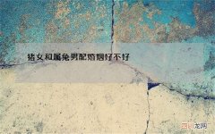 猪女和属兔男配婚姻好不好，女猴配男鼠的婚姻怎么样