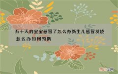 五十天的宝宝感冒了怎么办 新生儿感冒发烧怎么办如何预防