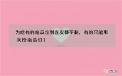 为啥有的南瓜吃到连皮都不剩，有的只能用来挖南瓜灯？