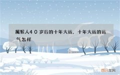 属猴人40岁后的十年大运，十年大运的运气怎样