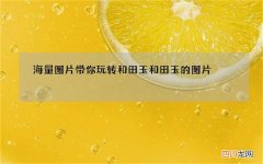 海量图片带你玩转和田玉 和田玉的图片