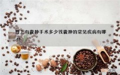 肾上有囊肿手术多少钱 囊肿的常见疾病有哪些