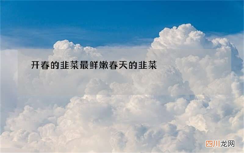 开春的韭菜最鲜嫩 春天的韭菜