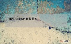 属龙人什么时候最精明
