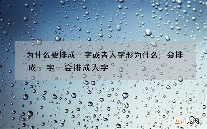 为什么要排成一字或者人字形 为什么一会排成一字一会排成人字