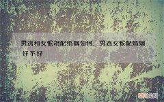男鸡和女猴相配婚姻如何，男鸡女猴配婚姻好不好