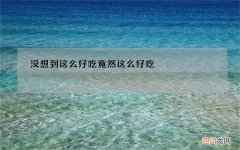没想到这么好吃 竟然这么好吃
