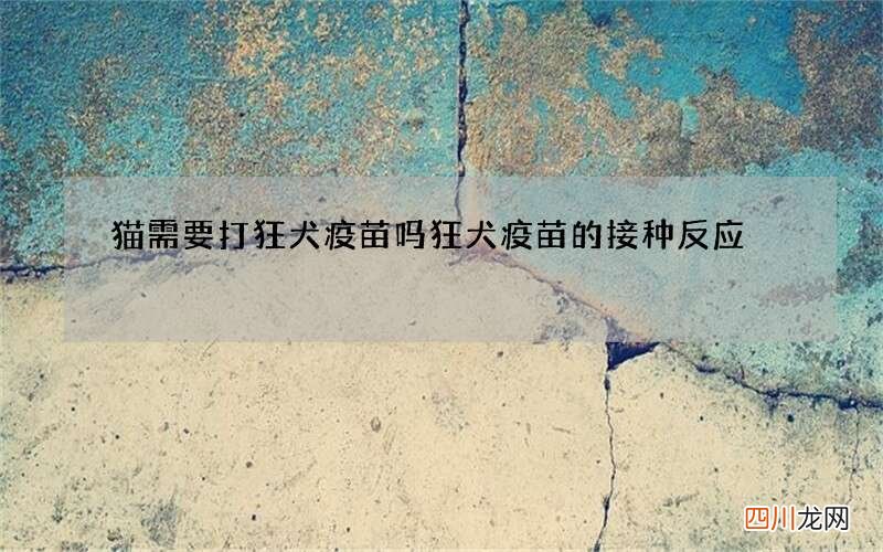 猫需要打狂犬疫苗吗 狂犬疫苗的接种反应