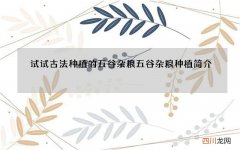 试试古法种植的五谷杂粮 五谷杂粮种植简介
